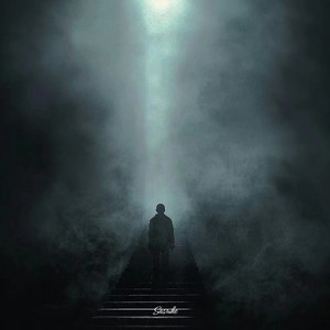 董卿被黑人玩的嗷嗷叫
