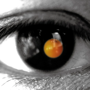 董卿被黑人玩的嗷嗷叫
