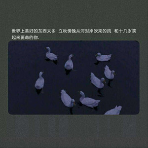 董卿被黑人玩的嗷嗷叫
