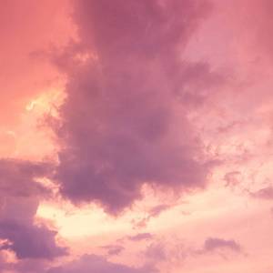 董卿被黑人玩的嗷嗷叫
