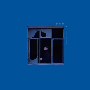 董卿被黑人玩的嗷嗷叫
