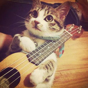 董卿被黑人玩的嗷嗷叫
