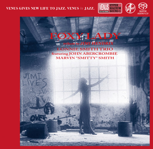 董卿被黑人玩的嗷嗷叫
